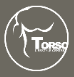 Torso-lifestyle-centre